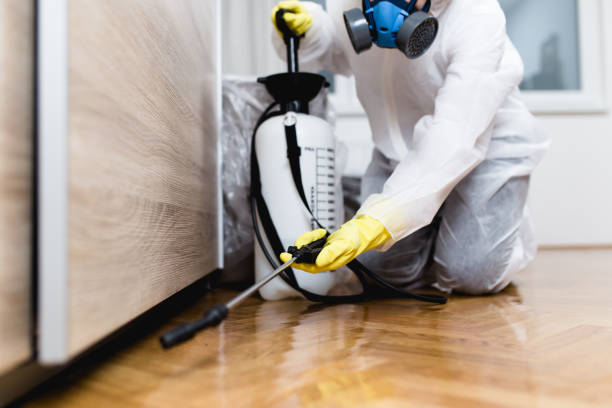 Best Termite Control Services  in Dublin, CA