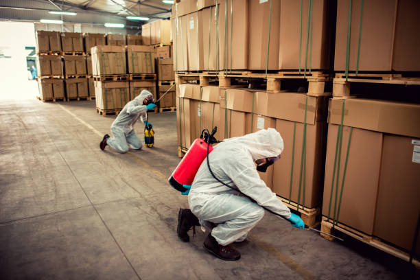 Best Affordable Pest Control Services  in Dublin, CA