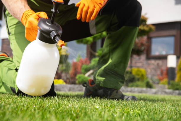 Best Pest Inspection Near Me  in Dublin, CA
