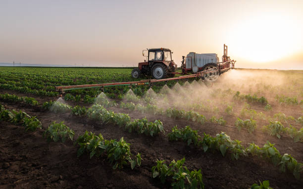 Best Commercial Pest Control Services  in Dublin, CA