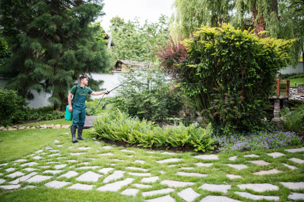 Best Pest Removal Services  in Dublin, CA