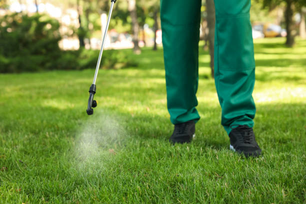 Pest Control for Restaurants in Dublin, CA