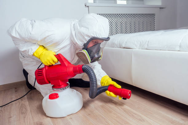 Best Local Pest Control Services  in Dublin, CA
