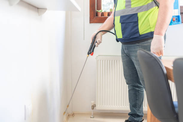 Best Wasp Removal Services  in Dublin, CA
