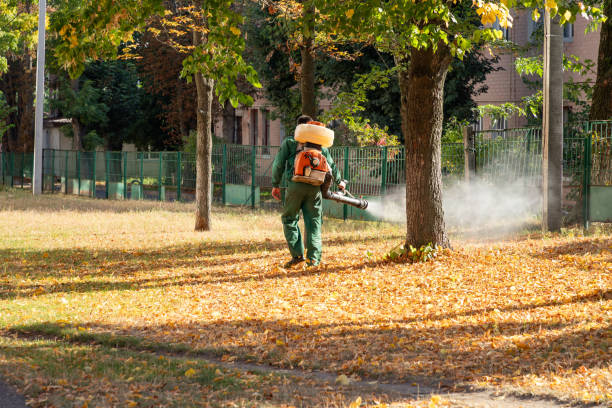 Best Insect Control  in Dublin, CA
