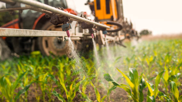Best Wildlife Control Services  in Dublin, CA